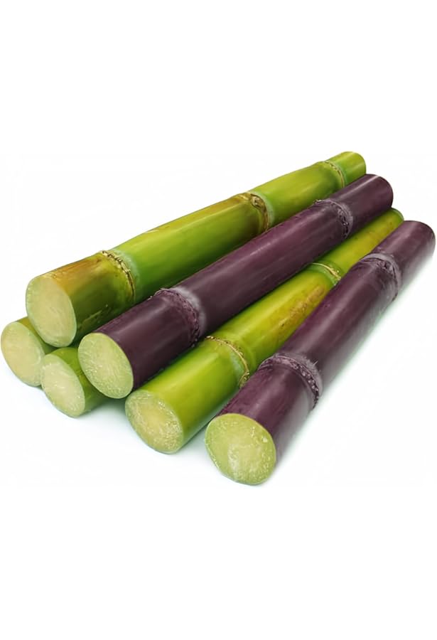 Amazon.com: Chaokoh Sugar Cane in Syrup : Grocery & Gourmet Food